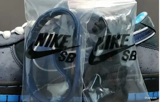 Nike Blue Lobster Low - Dunk 313170-342 SB 0525